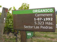 Carmenere