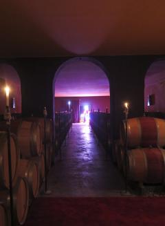 In the cellar at Château Ducru Beaucaillou